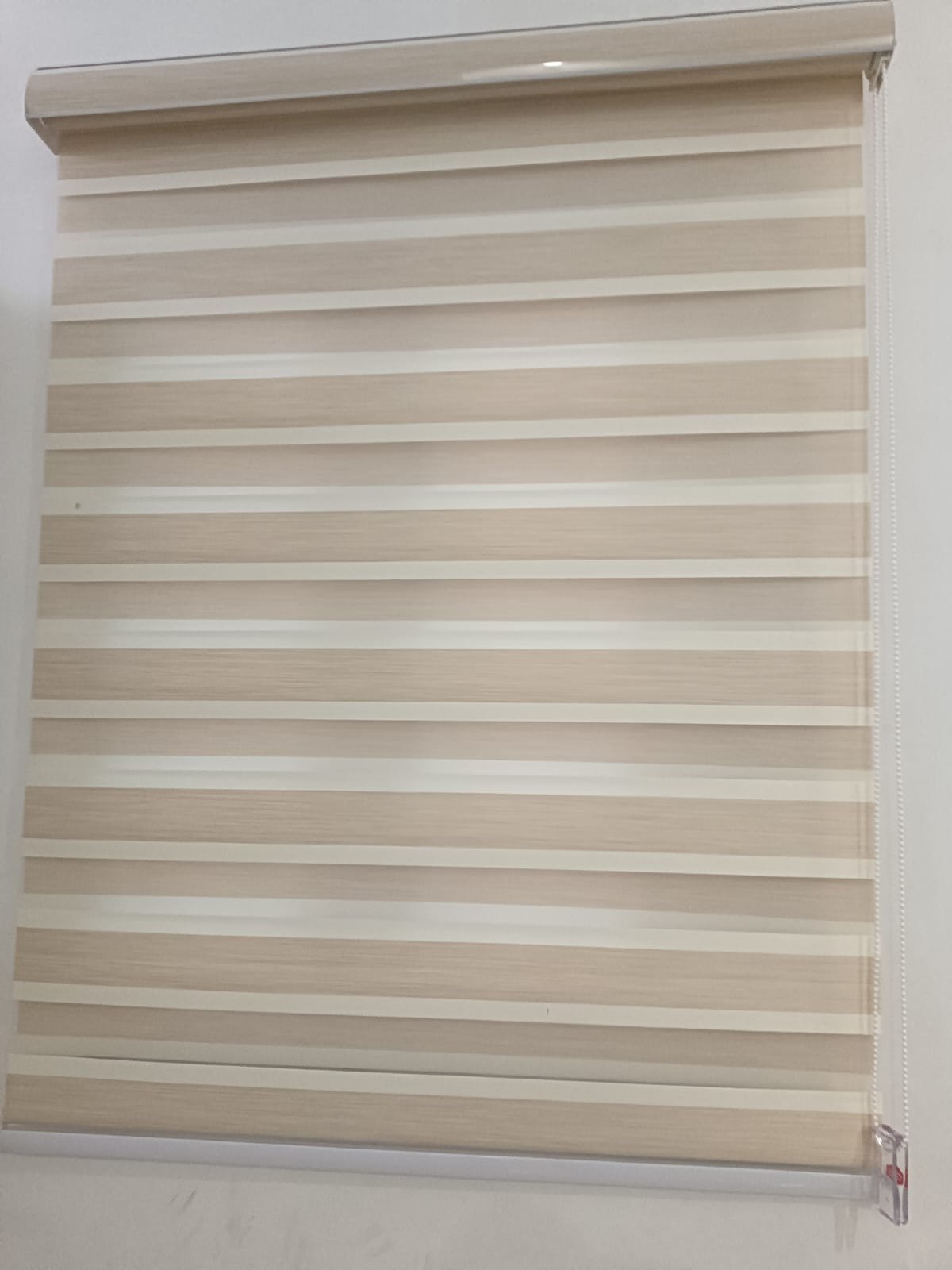 Untitled design (77)